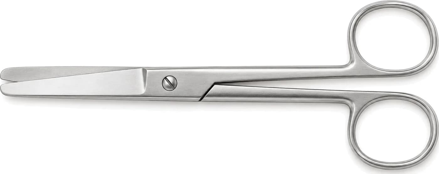 Straight Mayo dissecting scissors